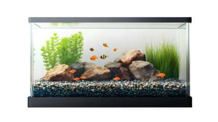 Empty Fish Tank Glass on Transparent Background - Professional Aquarium Image