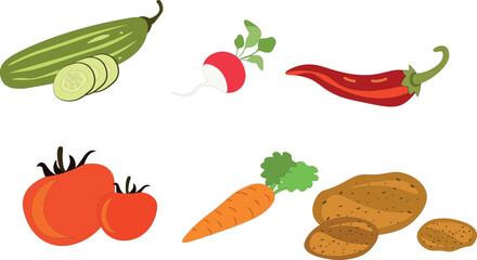 Set of vegetables colorful. Vector illustration