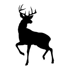 deer silhouette, side view – vector illustration
