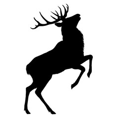 deer silhouette, side view – vector illustration