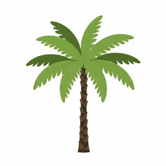 Jeju Palm Tree Type