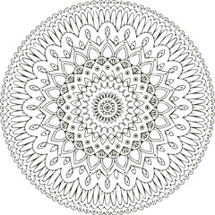 Beautiful flower art and mandala vector design
