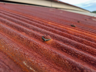 the house's rusty tin roof and rusty thumbtacks
