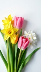Fototapeta premium Delicate tulips, daffodils, hyacinths arranged on white , bloom, blossom
