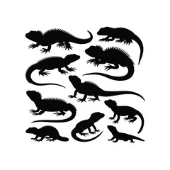 Bearded Dragon and Lizard Silhouette Vector Set in Various Poses