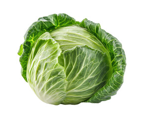 Fresh green cabbage ready for cooking or salad preparation on a transparent background, cut out