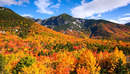 Vibrant Fall Foliage in Franconia Notch State Park, White Mountain National Forest