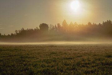 Fototapeta premium Radiant sunrise over misty meadow with glowing sunlight breaking through fog and forest silhouette, peaceful and spiritual rural landscape with early morning atmosphere..