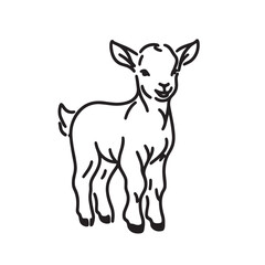 Fototapeta premium baby goat vector illustration simple one line drawing