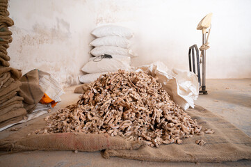 Ginger root pile, spice manufactory in India, spicy food ingredient for sale, warehouse of supply chain, Kochi, Kerala 