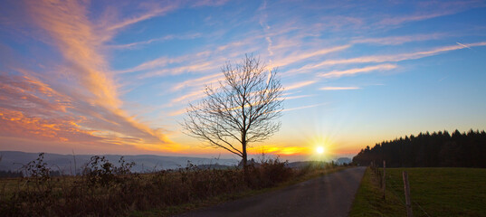 Colorful sunset scene featuring a solitary tree in the foreground in spring
