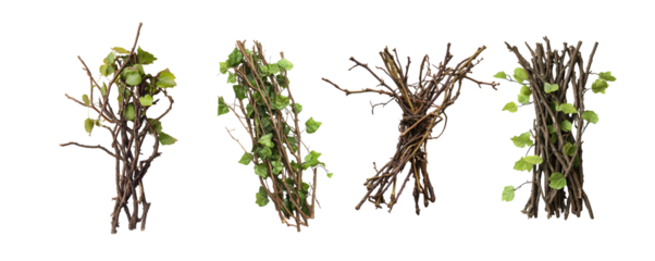 Nature's Woven Alphabet