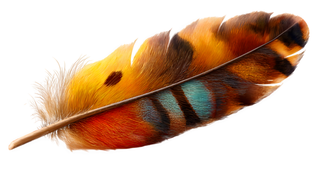 realistic turkey feather with autumn colors, isolated on transparent background