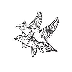 Vector illustration of three birds flying together in the blue sky, symbolizing freedom and harmony with nature isolated on white background.