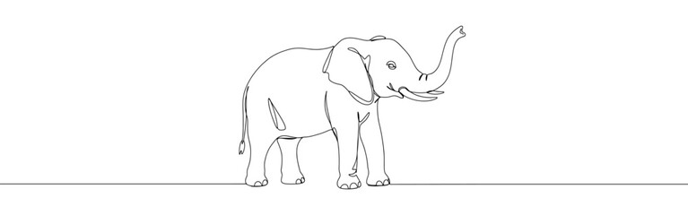 Elephant continuous one line drawing. Hand drawn animal.