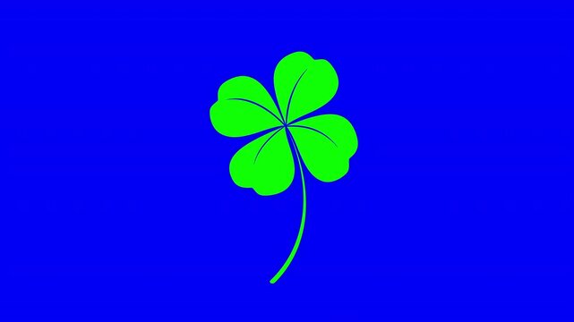 Animation of green four leaf clover isolated on blue screen background. Happy Saint Patrick's day template for composite and presentation.