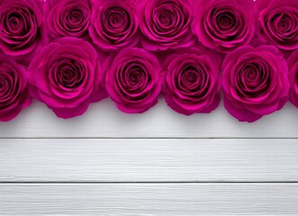 The garden contains a lovely rose, with a rose flower background and roses flower texture, creating a beautiful scene