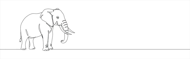 Elephant continuous one line drawing. Hand drawn animal.