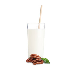 Nut milk in glass and pecans isolated on white