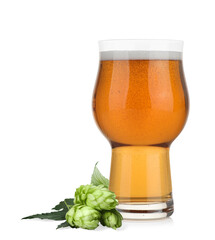 Fresh beer in glass and hop flowers on white background