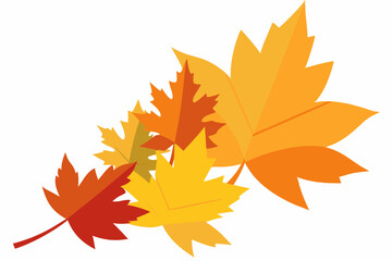 Obraz premium maple leaves isolated on white