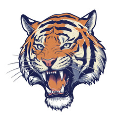 A fierce tiger's head illustration with an intense expression, showcasing its striking features.