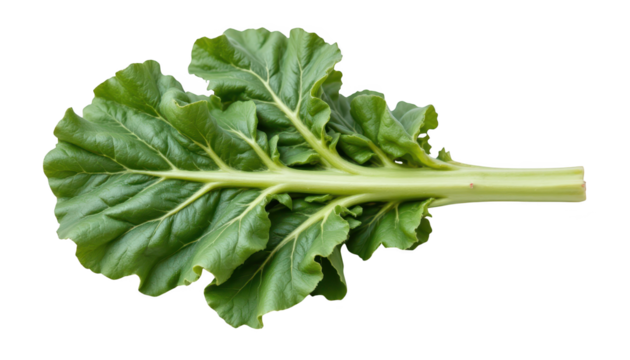 Vibrant green lettuce leaves, a healthy and refreshing addition to your meals fresh,