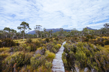 Overland Track Landscape in Tasmania Australia