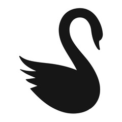 black swan vector illustration