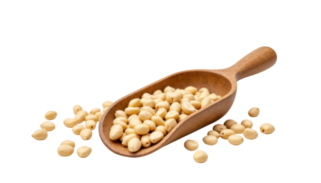 Closeup of wooden spoon overflowing with nutritious chickpeas, a healthy food choice