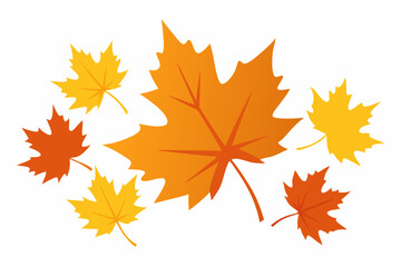 Fototapeta premium maple leaves isolated on white