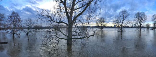 Panorama of a serene flooded landscape during a calm winter afternoon