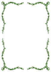 Leaf Garland Transparent A4 Frame leaf plant natural pine evergreen christmas decoration party invitation menu poster flyer seasonal festive holiday hand drawn illustration watercolour png border prom