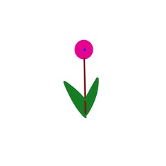 Red flower on white background 