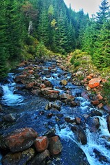 Czech Republic - view of the rapids in the stream Certova Strouha, tributary of the river White Elbe near the town of Spindleruv Mlyn