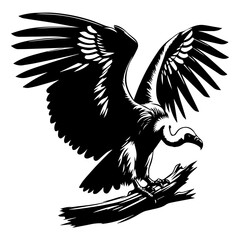 Black and white silhouette of a vulture bird on a white isolated background. Vector graphics. EPS.
