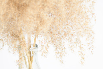 Dried Pampas Grass in Glass Vase — Horizontal Minimalist Still Life with Natural Texture