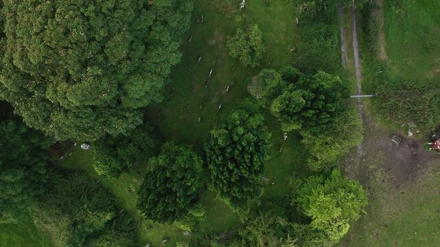 Old Donagh Graveyard, County Monaghan, Ireland, September 2022. Drone top down descends above the neatly arranged tomb and headstones on top of the hill.