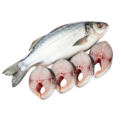 Fresh whole Hilsa fish and sliced steaks ready to cook