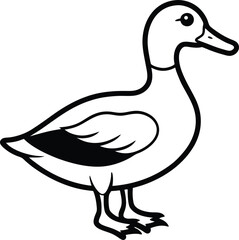 vector illustration of a duck