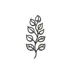 Simple line art sprig; white background; botanical illustration; design element