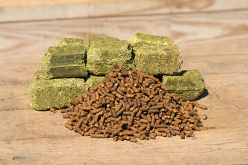 Senior horse feed; dark brown pelleted food with molasses in front, and green alfalfa cubes on the back; on wooden surface