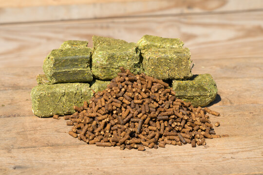 Senior horse feed; dark brown pelleted food with molasses in front, and green alfalfa cubes on the back; on wooden surface