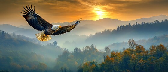 Bald eagle soars over misty, autumn mountains at sunrise