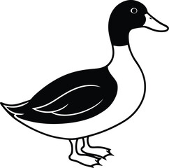 vector illustration of duck