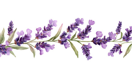 Naklejka premium Elegant Lavender Watercolor Floral Border Illustration