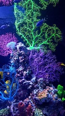 Vertical photo of colorful corals in aquarium, marine background, sea texture, underwater scene, reef life, tropical ocean environment, National Aquarium Abu Dhabi, UAE, vibrant aquatic display. 