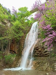 Obraz premium Vertical photo of waterfall in Tbilisi Botanical Garden surrounded by blooming trees, spring nature, garden landscape, floral scene, fresh greenery, peaceful atmosphere, travel destination, Georgia. 