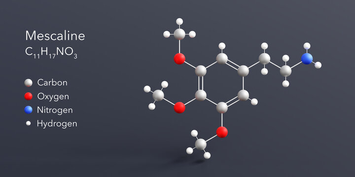 mescaline molecule 3d rendering, flat molecular structure with chemical formula and atoms color coding