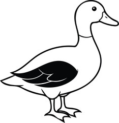 illustration of a brown duck